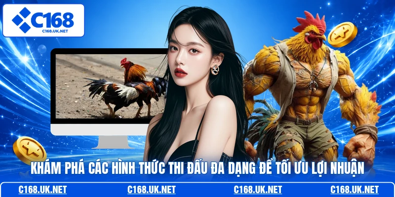 Khám phá các hình thức thi đấu đa dạng để tối ưu lợi nhuận
